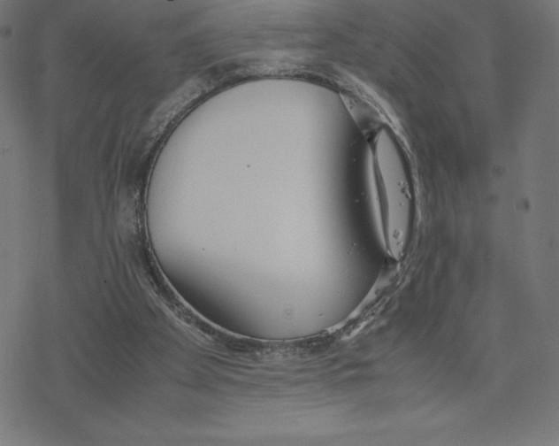 X0000078240105200612011614