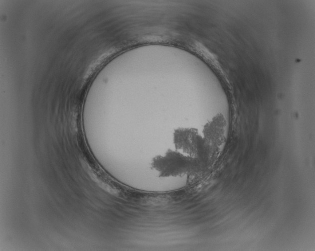 X0000078240106200612011614