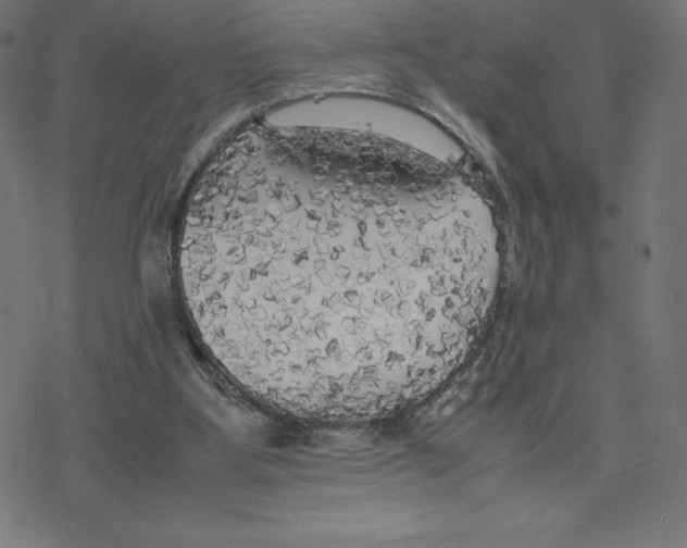 X0000078240107200612011614