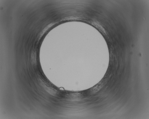 X0000078240108200612011614