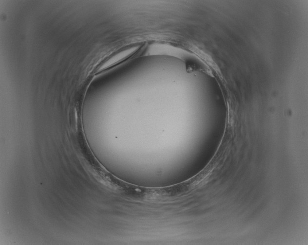 X0000078240109200612011614