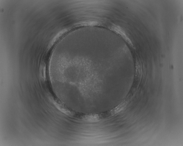 X0000078240110200612011614