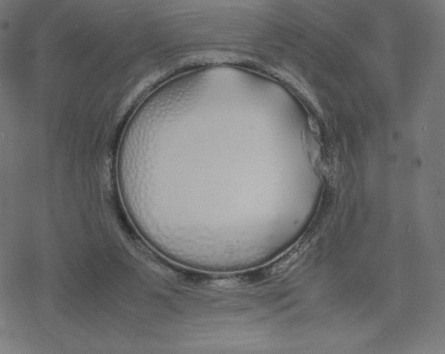 X0000078240111200612011614