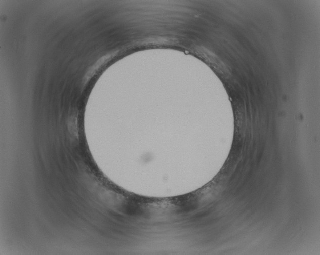 X0000078240112200612011614