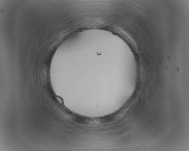 X0000078240113200612011614