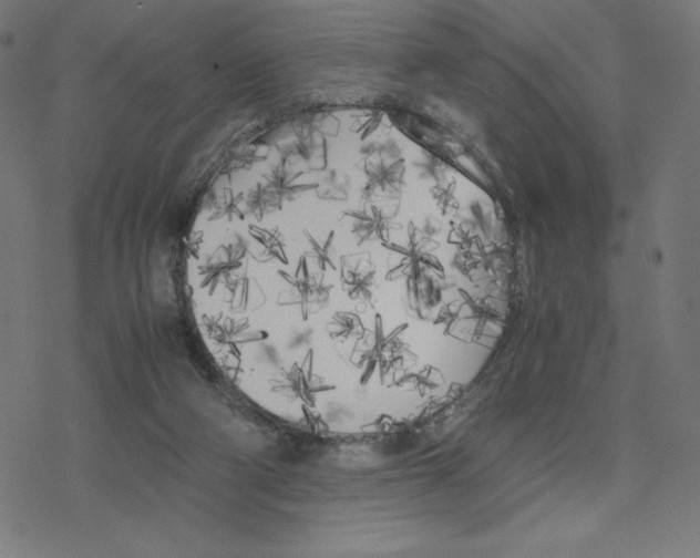 X0000078240114200612011614