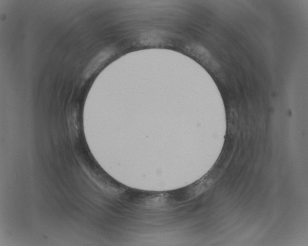 X0000078240116200612011614