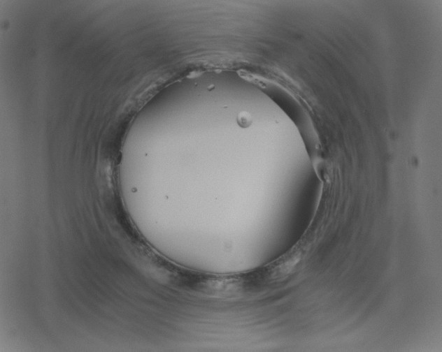 X0000078240117200612011614