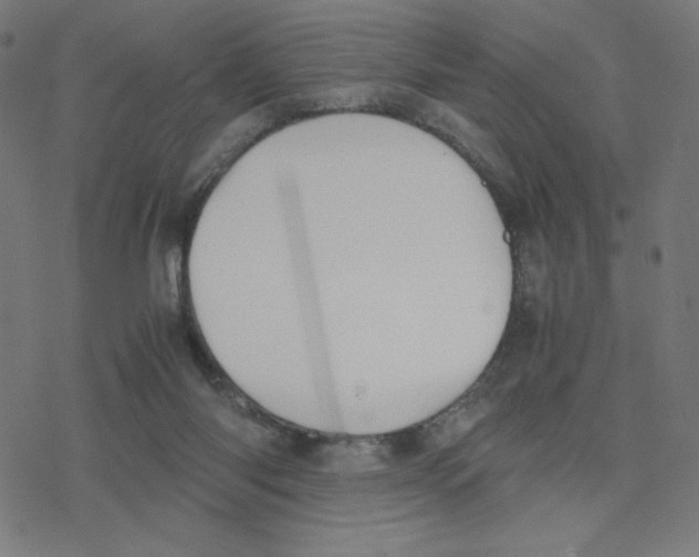 X0000078240118200612011614