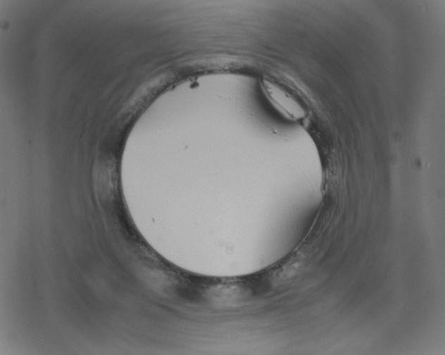 X0000078240119200612011614