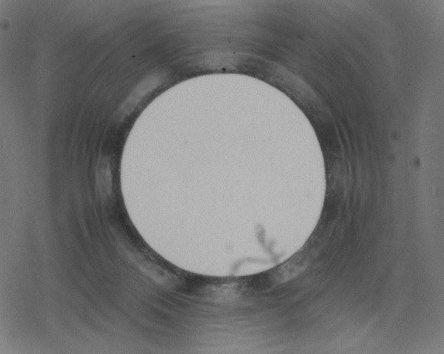 X0000078240120200612011614