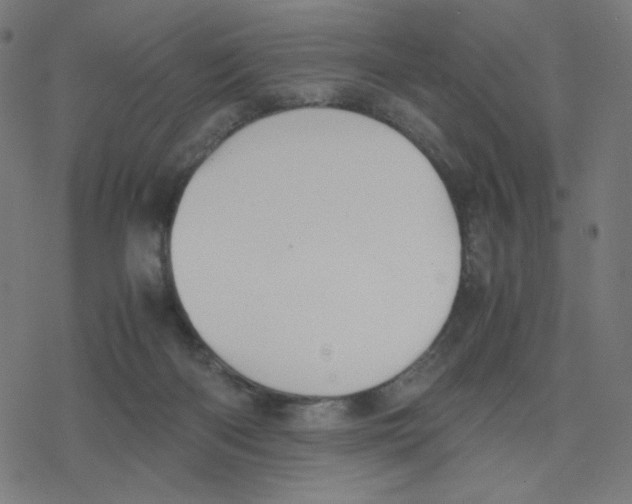 X0000078240122200612011614