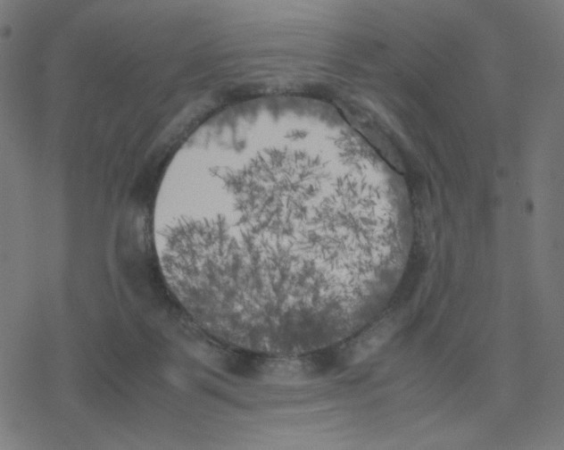 X0000078240123200612011614