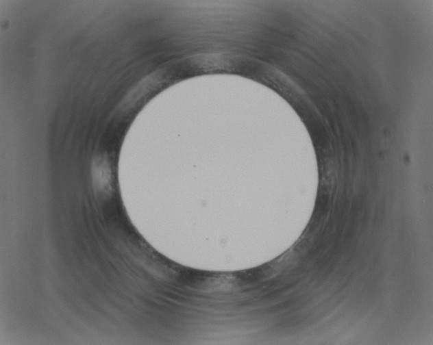 X0000078240124200612011614