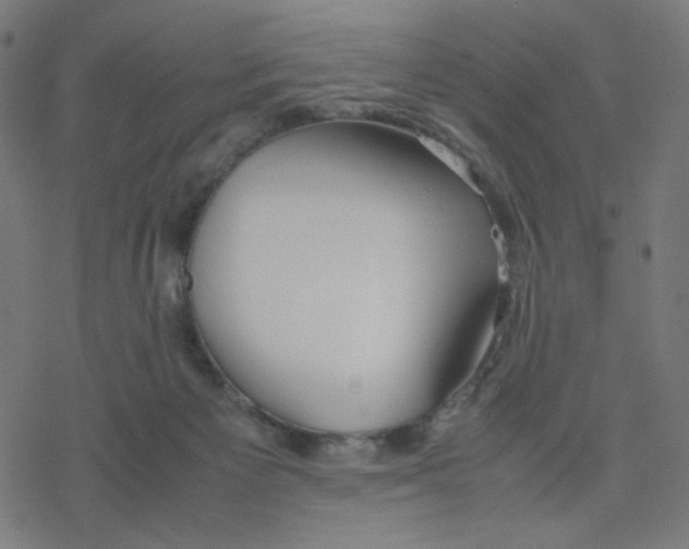 X0000078240125200612011614