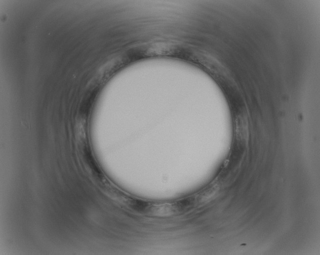 X0000078240127200612011614