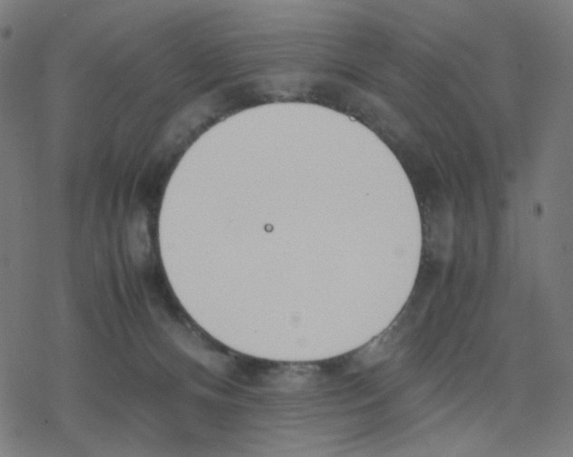 X0000078240128200612011614