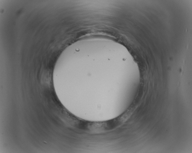 X0000078240129200612011614