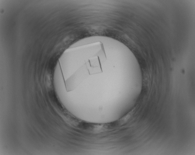 X0000078240130200612011614