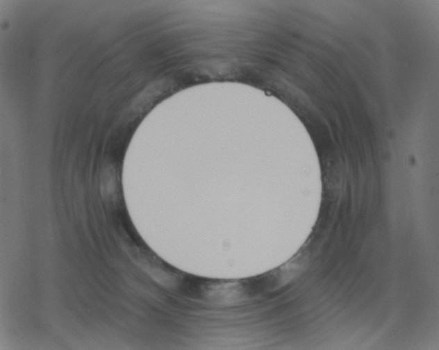 X0000078240132200612011614