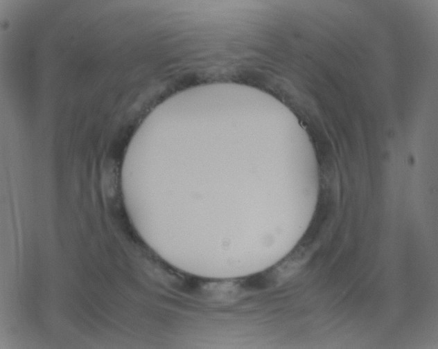 X0000078240133200612011614