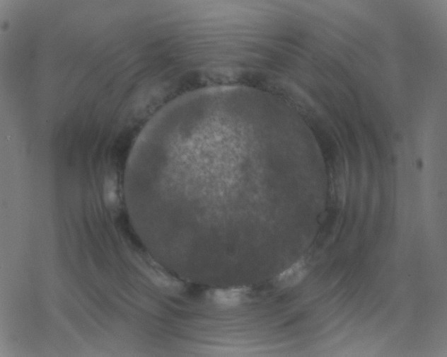 X0000078240134200612011614