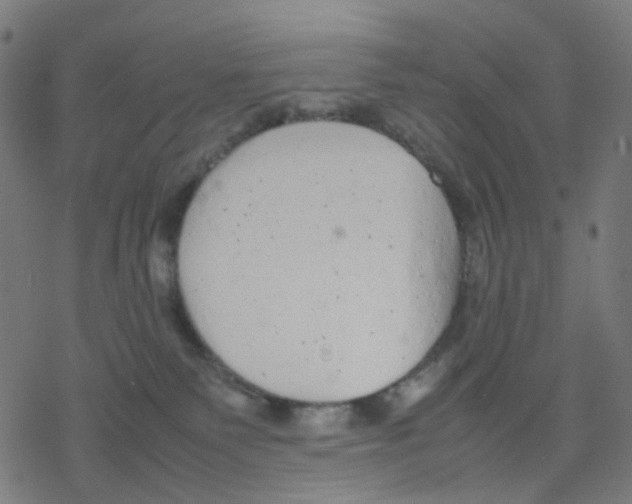 X0000078240135200612011614