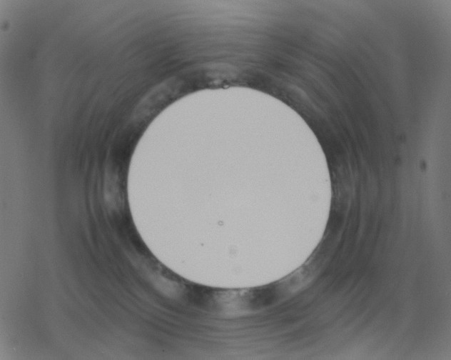 X0000078240136200612011614