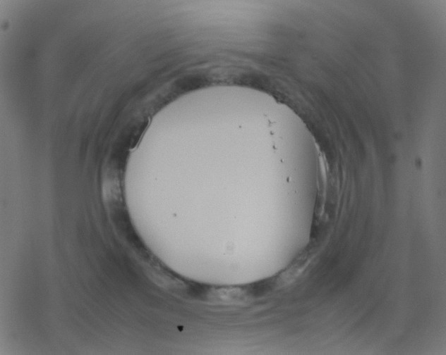 X0000078240137200612011614