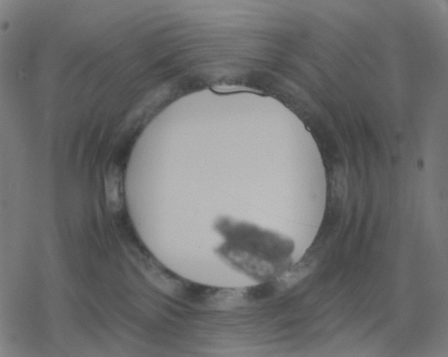 X0000078240138200612011614