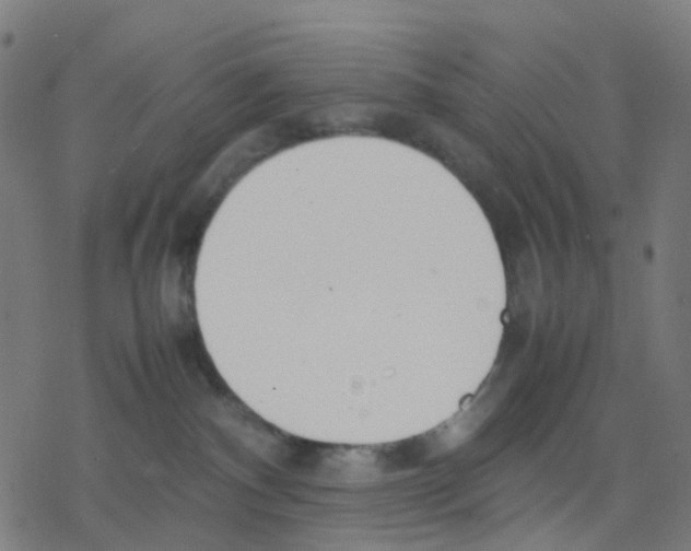 X0000078240140200612011614