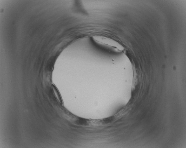 X0000078240141200612011614