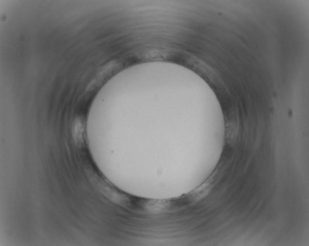 X0000078240142200612011614