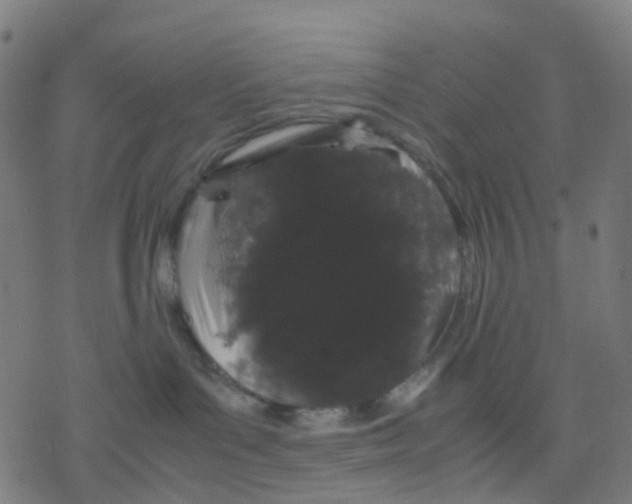 X0000078240143200612011614