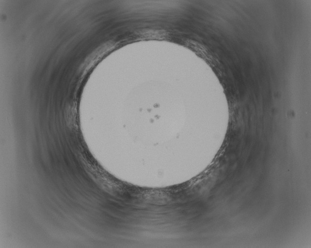 X0000078240146200612011613