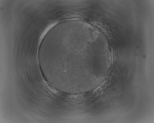 X0000078240147200612011613