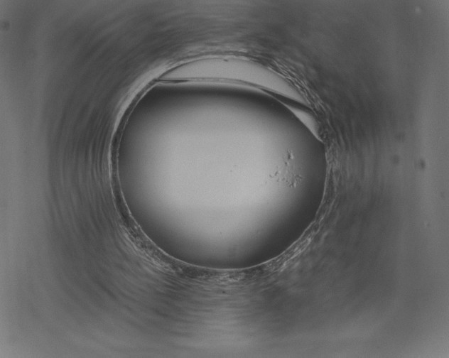 X0000078240148200612011613