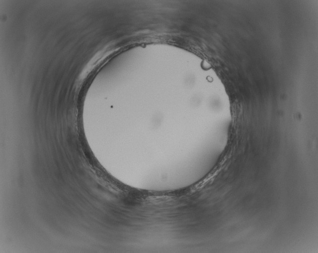 X0000078240150200612011613