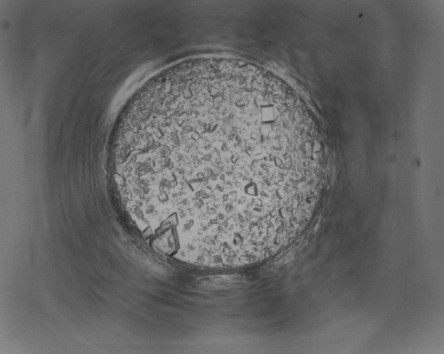 X0000078240151200612011613