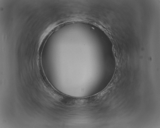 X0000078240152200612011613