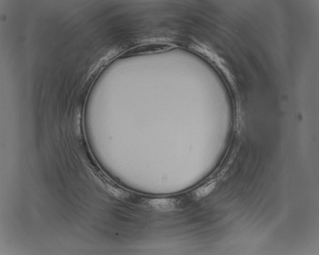 X0000078240153200612011613