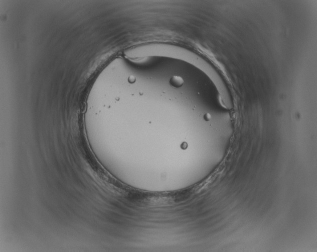 X0000078240154200612011613