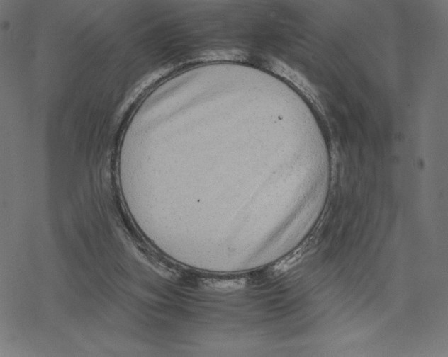 X0000078240155200612011613