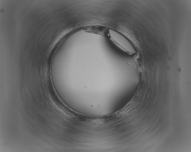 X0000078240156200612011613