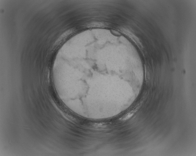 X0000078240157200612011613