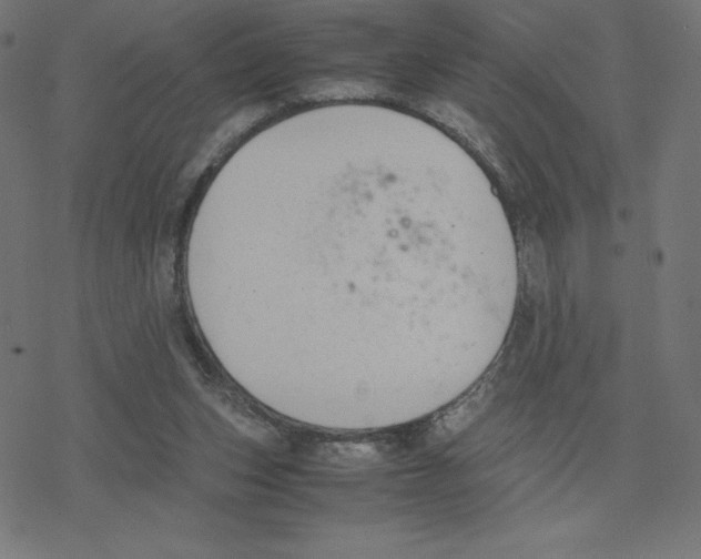 X0000078240159200612011613