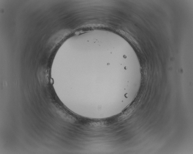 X0000078240160200612011613