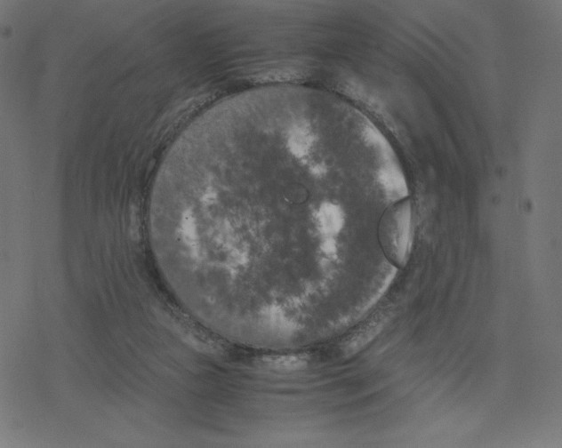 X0000078240161200612011613