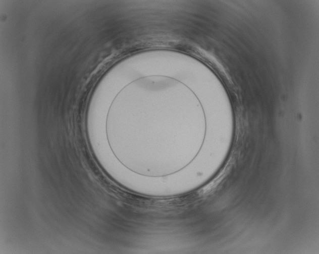 X0000078240162200612011613