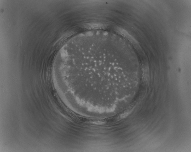 X0000078240165200612011613